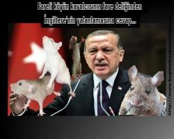 Fareli köyün kavalcısının fare deliğinden İngiltere'nin yalanlamasına cevap...