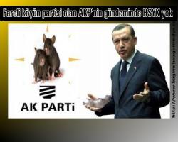 Fareli köyün partisi olan  AKP'nin gündeminde HSYK yok