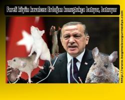 Fareli köyün kavalcısı Erdoğan konuştukça batıyor, batırıyor