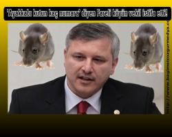 'Ayakkabı kutun kaç numara' diyen Fareli köyün vekil istifa etti!