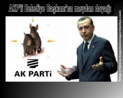 Fareli köyün  Belediye Başkanı'na meydan dayağı