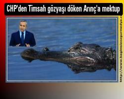 CHP'den Timsah gözyaşı döken Arınç'a mektup