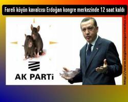 Fareli köyün kavalcısı Erdoğan kongre merkezinde 12 saat kaldı