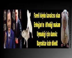 Fareli köyün kavalcısı olan Erdoğan'ın  üflediği makam uymadığı için dansöz  Bayraktar özür diledi!