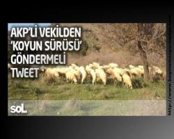 FKP'li vekilden 'koyun sürüsü' göndermeli tweet