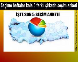 Burası Türkiye Seçime haftalar kala 5 farklı şirketin seçim anketi