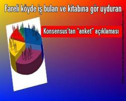 Fareli köyde iş bulan ve kitabına gör uyduran  Konsensus’tan “anket” açıklaması