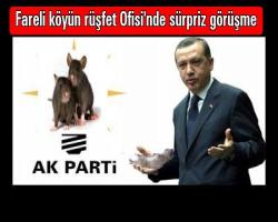 Fareli köyün rüşfet Ofisi'nde sürpriz görüşme; kapalı kapılardaki işlem bitti...