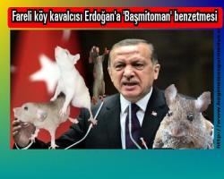 Fareli köy kavalcısı Erdoğan'a 'Başmitoman' benzetmesi