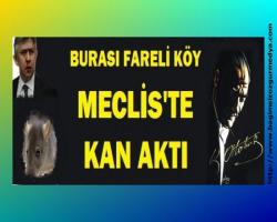 Meclis'te kan aktı: CHP'li vekilin burnunu kırdılar!