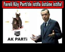 Fareli Köy Parti'de istifa üstüne istifa!