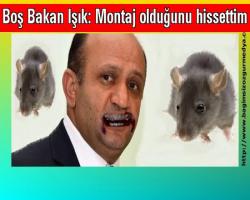 Boş Bakan Işık: Montaj olduğunu hissettim
