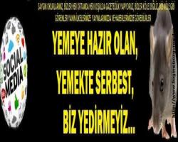 YEMEYE HAZIR OLAN, YEMEKTE SERBEST, BİZ YEDİRMEYİZ...