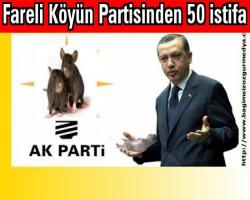 Fareli Köyün Partisinde 50 istifa