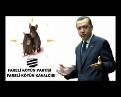 Kökü Olanlar konuşmalı derler, ama kökleri belli olmayanlar konuşuyor işte: (ayrıntı)