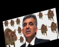 Fareli köyün baş noteri  Gül: İki başlılık krize neden olabilir...