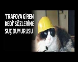 'Trafoya kedi girdi' için suç duyurusu