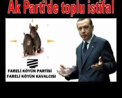 Fareli Köy Parti'de toplu istifa!