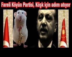 Fareli Köyün Partisi, Köşk için adım atıyor
