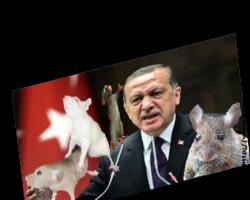 Oyun içinde oyun oynamayı seven Fareli Köyün Kavalcısı Twitter kararını emsal gösterdi...