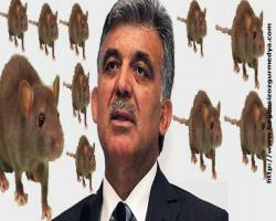 Gül'den Dünyaya C.Başkanlığı seçimi olarak lanse edilen diktatör seçimi  açıklaması