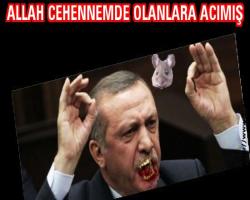 ALLAH CEHENNEMDE OLANLARA ACIMIŞ : 