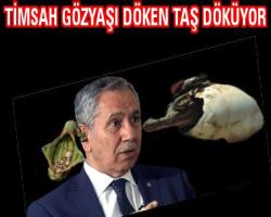 Timsah gözyaşı döken TAŞ döküyor