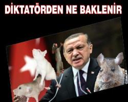 Zeka özürlü kendini diktatör sayan Erdoğan, Feyzioğlu ve Berkin Elvan'ı hedef aldı...