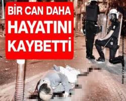 Bir can daha