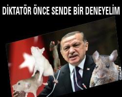 DİKTATÖR ÖNCE SENDE BİR DENEYELİM; Erdoğan: Bunların yüzüne tükürün
