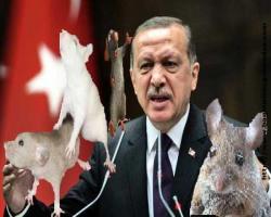 Namusu senden mi öğreneceğiz Erdoğan; Faşist konuşmasının ayrıntıları