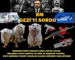 Alican Uludağ bildirdi : BM Gezi’yi sordu