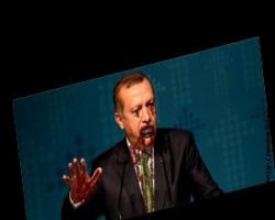 Kandan beslenen diktatör Erdoğan : 'Bazı gezizekalılar türedi'