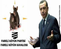 Fareli Köy Parti'de bir il yönetimi daha istifa etti