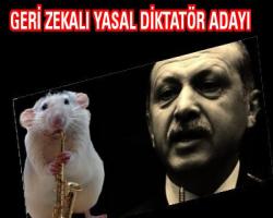 Ya bunlar halkı iyice geri zekalı yerine koydular; sanal diktatör  Erdoğan mal beyanında bulundu.. 