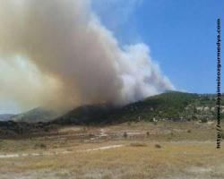 İzmir'de iki ayrı orman yangını (ayrıntı)