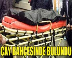 ÇAY BAHÇESİNDE BULUNDU