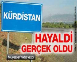 Burası fareli köy; Hayaldi gerçek oldu