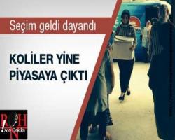 Koliler yine piyasaya çıktı