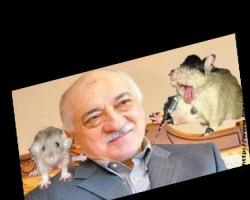 Cemaat operasyonunda flaş gelişme