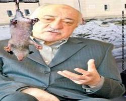 ABD'den haberler:  Münafığın işi çarpıtmaktır