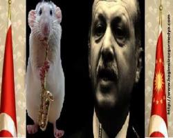 BAŞAK KAYA bildiriyor: Diktatör adayı olan şerefsiz şerefli Erdoğan’a bir kötü haber daha!