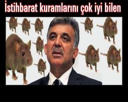 İstihbarat kuramlarını çok iyi bilen  Gül'e bir gol daha...