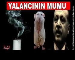 İşte yalancı Erdoğan'ın diktatörlüge resmi olarak başladığı zaman ki yalan mal beyanı