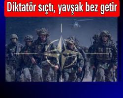 Diktatör sıçtı, yavşak bez getir; NATO'nun IŞİD kararının diktatör neresinde duracak?