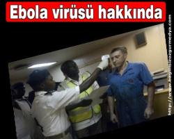 Ebola virüsü hakkında