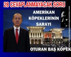  'Amerikan Köpeklerin Saray' için 28 cevaplanmayacak soru