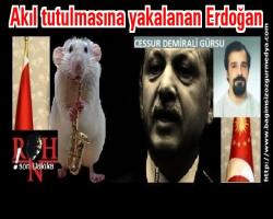 Akıl tutulmasına yakalanan Erdoğan'da olmayan akıl  'operasyonu'  