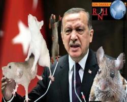 Diktatör 'Türkiye’deki kadar özgür bir medya yoktur' dediği sırada bakın ne oldu?