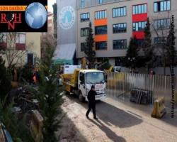 Üsküdar Belediyesi'nin ağaç düşmanlığı devam ediyor